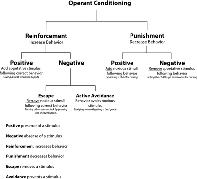 Punishment & Rewards as tools for operant conditioning to modify behaviours