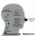 Insights into Interaction: Exploring the NLP Model of Communication