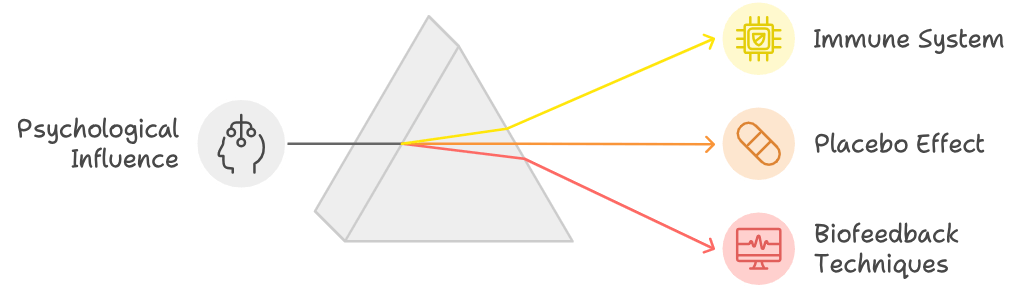 Graphic representing Mind-body connection explained via studies on immune system, placebo effect and biofeedback techniques